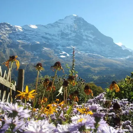 Uf Em Stutz 1 Apartment Grindelwald